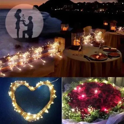  Decorative party String fairy light's  